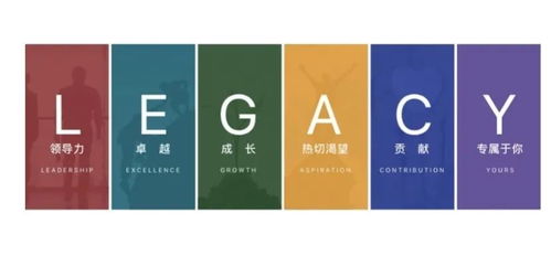 精英教育的代價 32歲女高管培訓課猝死與企業(yè)標語的警示